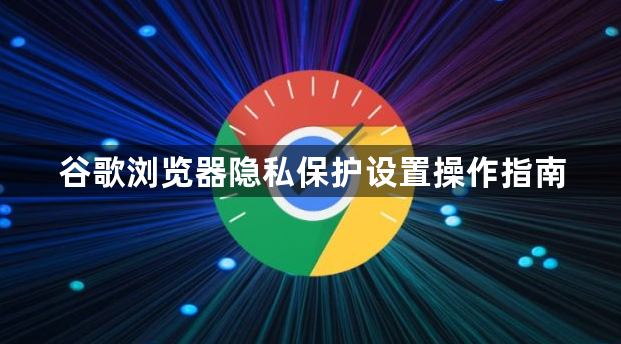 谷歌浏览器隐私保护设置操作指南1