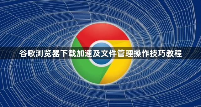 谷歌浏览器下载加速及文件管理操作技巧教程1