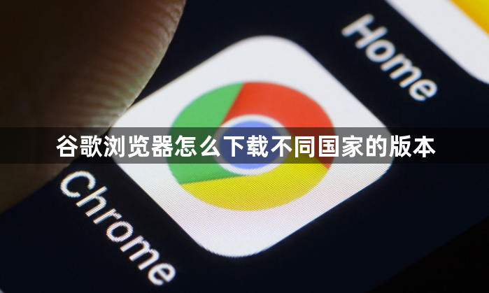 谷歌浏览器怎么下载不同国家的版本1
