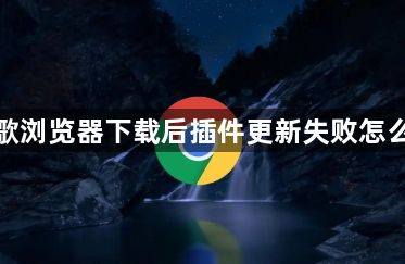 谷歌浏览器下载后插件更新失败怎么办1